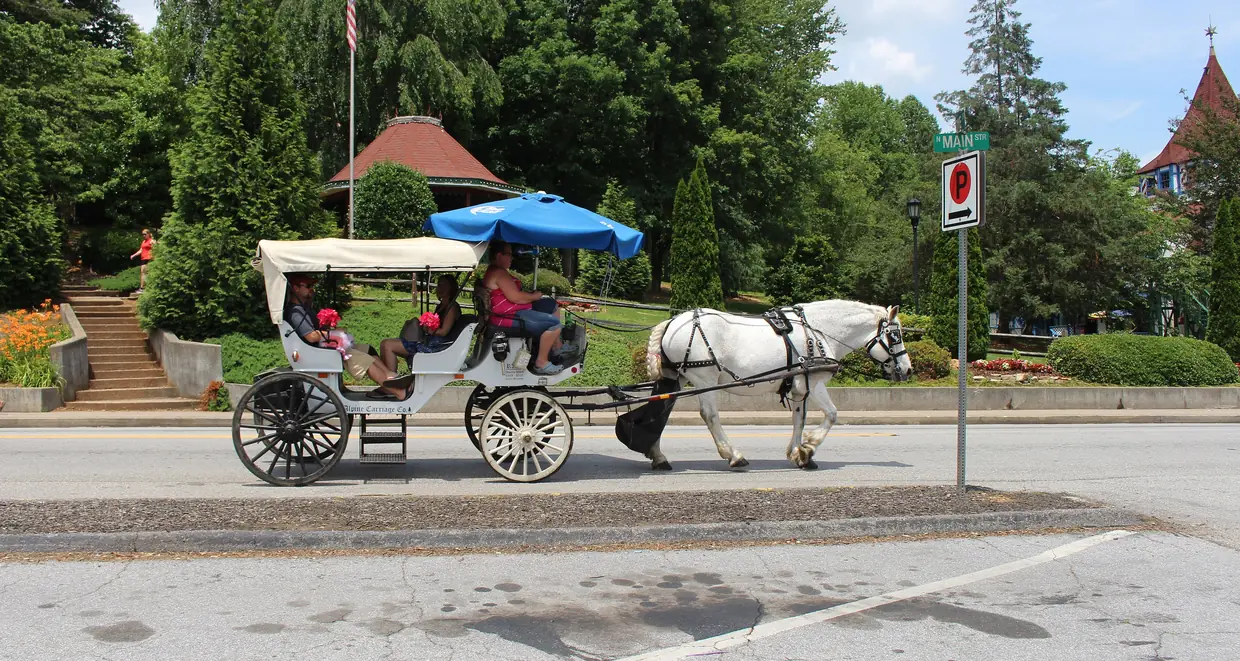 A white horse pulling an open carriage with a blue canopy along a street in Helen, a red-roofed gazebo on the hill behind.